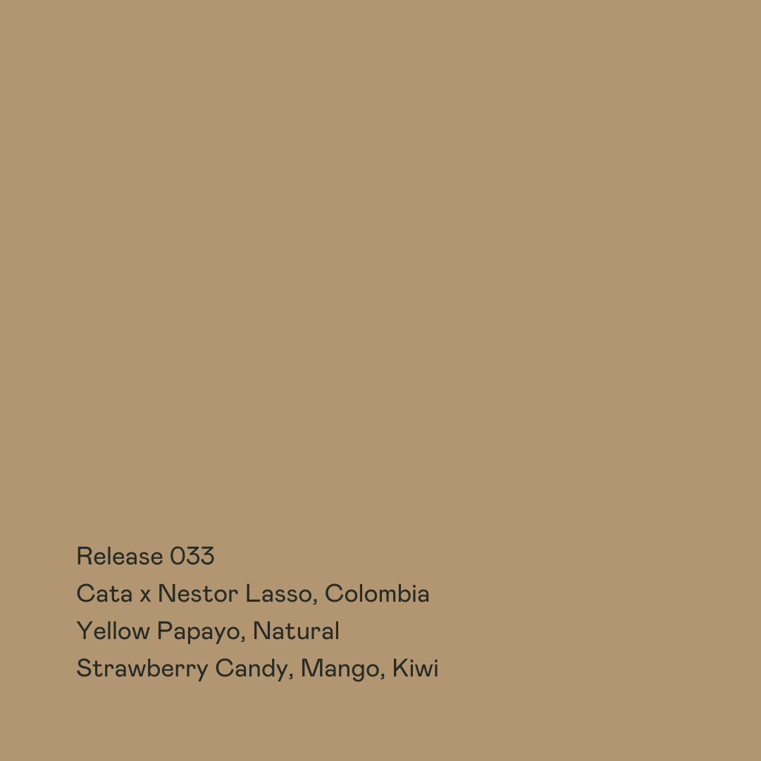 SPECIAL GUESTS - Cata x Nestor Lasso | Colombia - Natural - Yellow Papayo