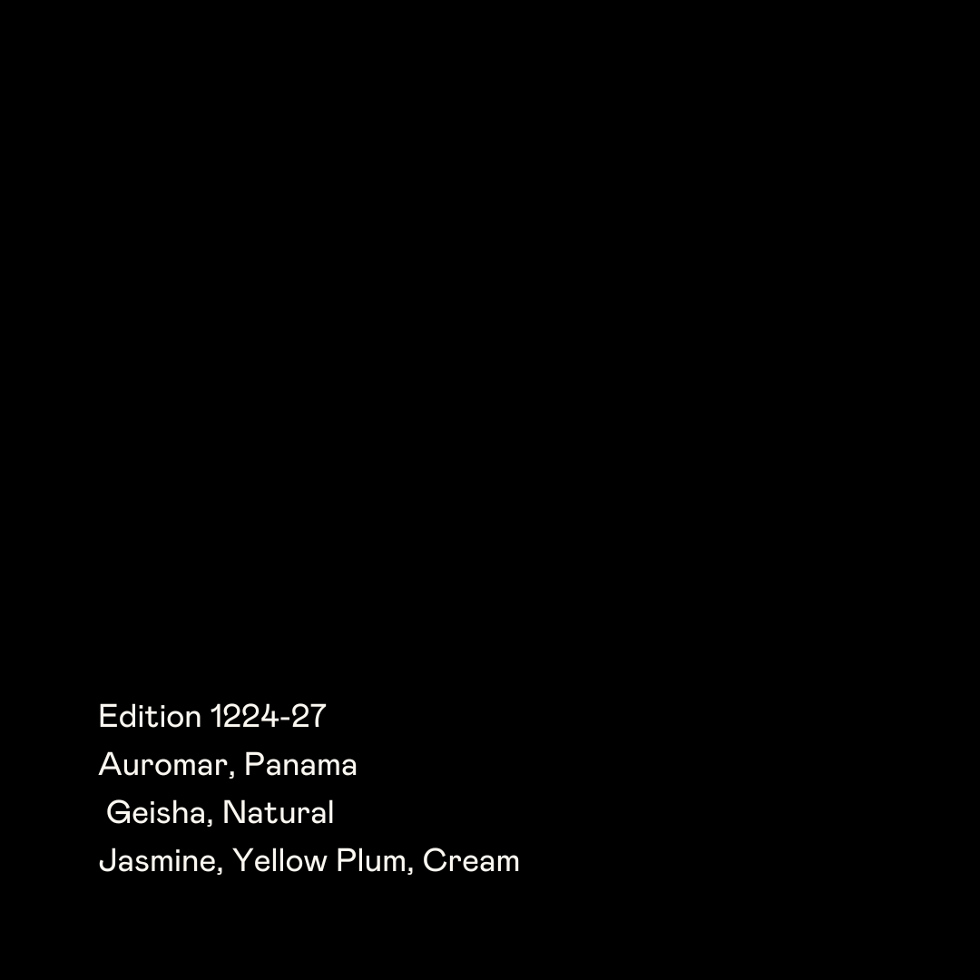 SPECIAL GUESTS - Auromar | Panama - Natural - Geisha