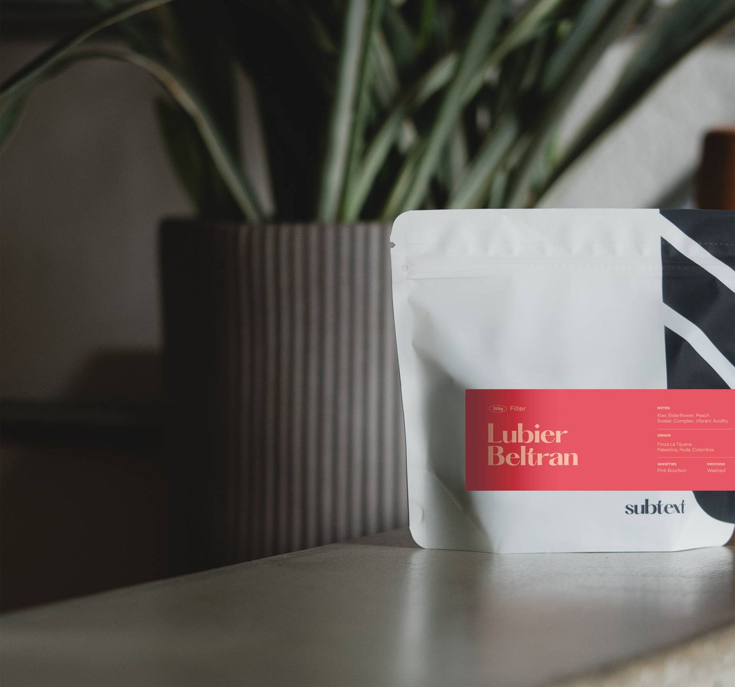 SUBTEXT - Lubier Beltran | Colombia - Washed - Pink Bourbon