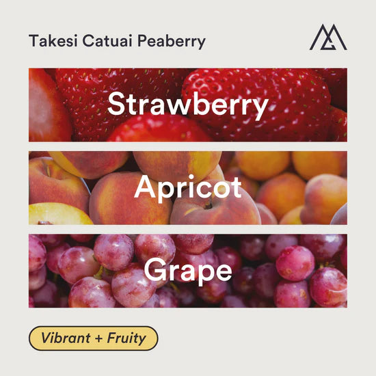 MONOGRAM - Takesi Peaberry Catuai | Bolivia - Washed - Peaberry Catuai