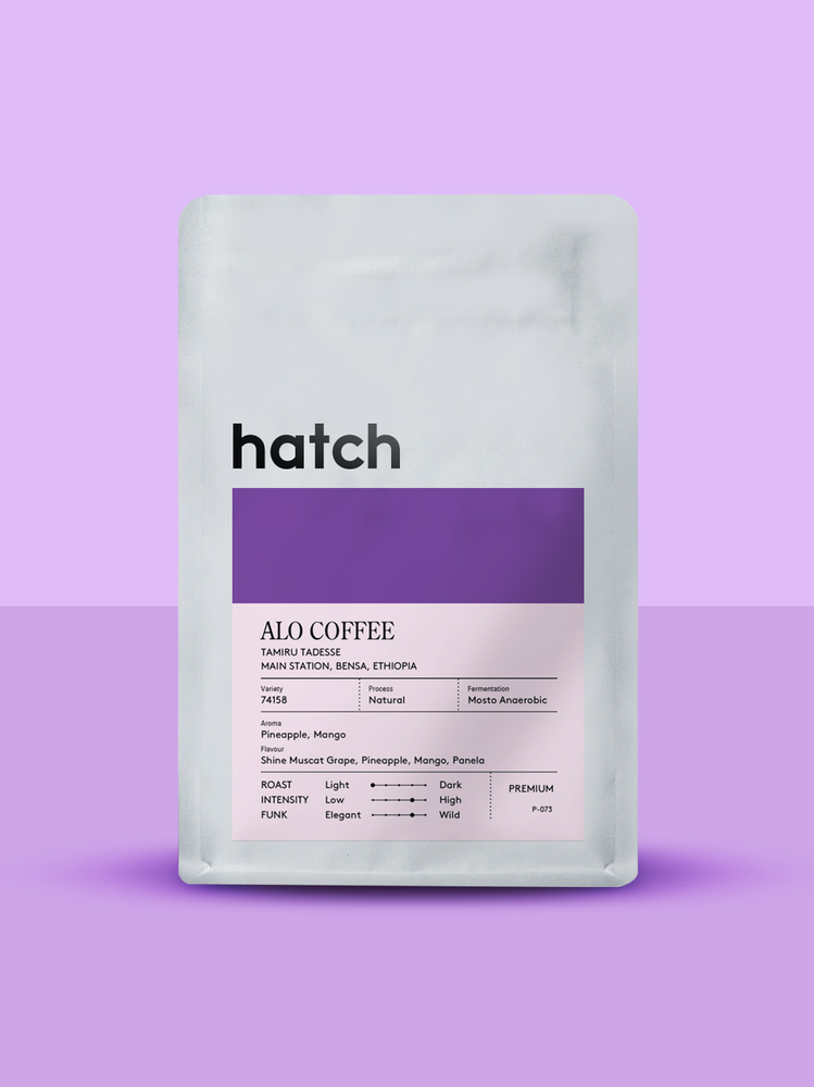 HATCH - Alo Coffee | Ethiopia - Mosto Anaerobic Natural - 74158