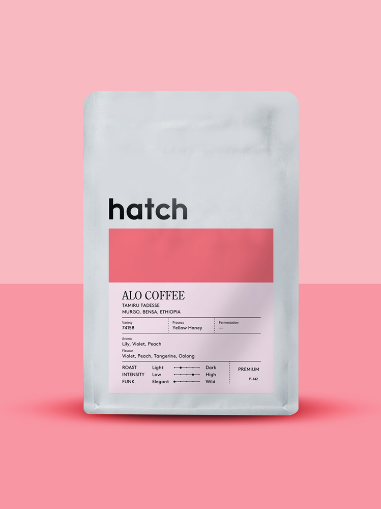 HATCH - Alo Coffee | Ethiopia - Yellow Honey - 74158
