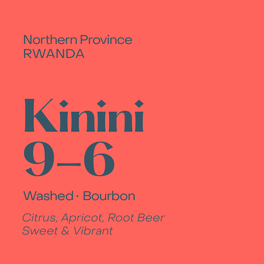 SUBTEXT - Kinini 9-6 | Rwanda - Washed - Bourbon