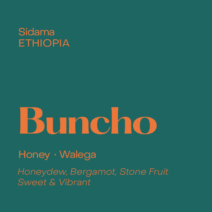 SUBTEXT - Buncho | Ethiopia - Honey - Walega