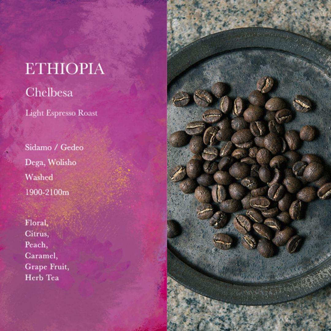 WEEKENDERS COFFEE - Chelbesa | Ethiopia - Washed - Dega, Wolisho