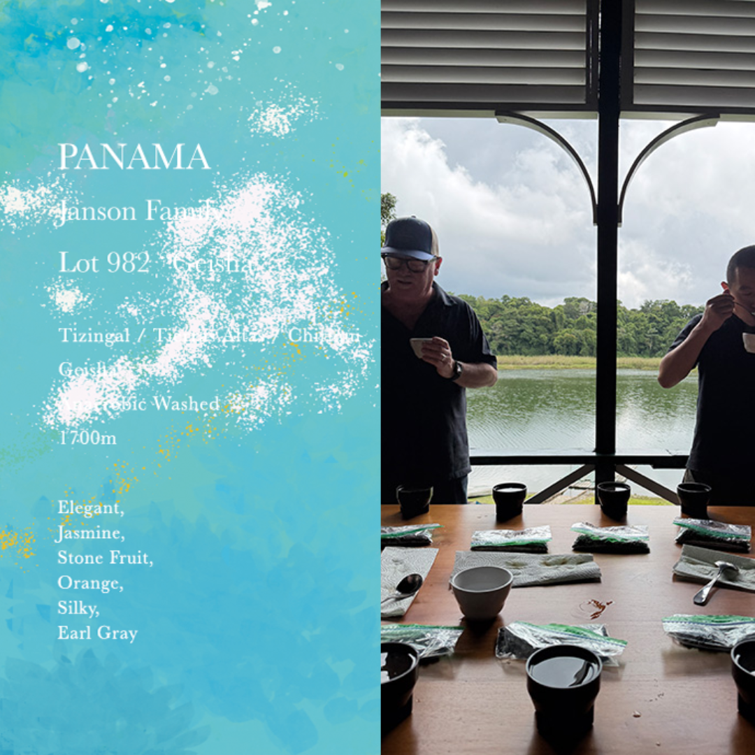 WEEKENDERS COFFEE - Janson Family Lot 982 “Geisha” | Panama - Anaerobic Washed - Geisha