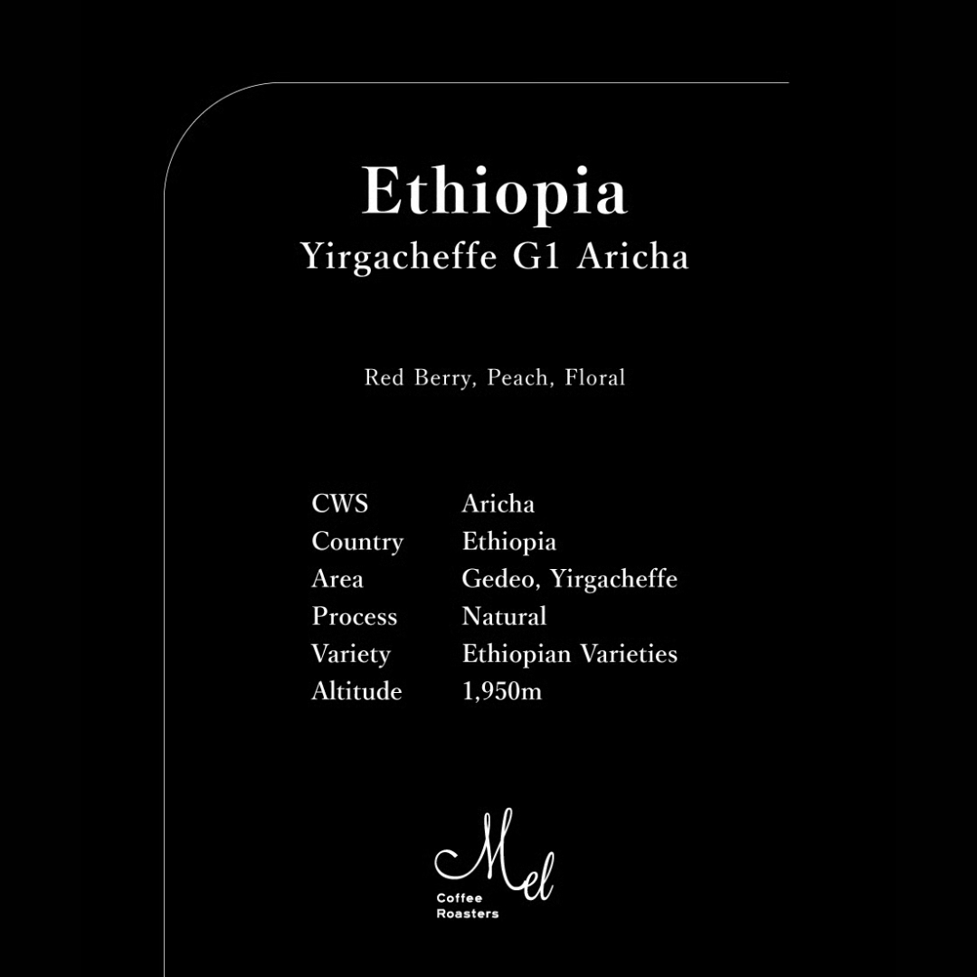 MEL - Yirgacheffe G1 Aricha {Filter} | Ethiopia - Natural - Ethiopian Varieties