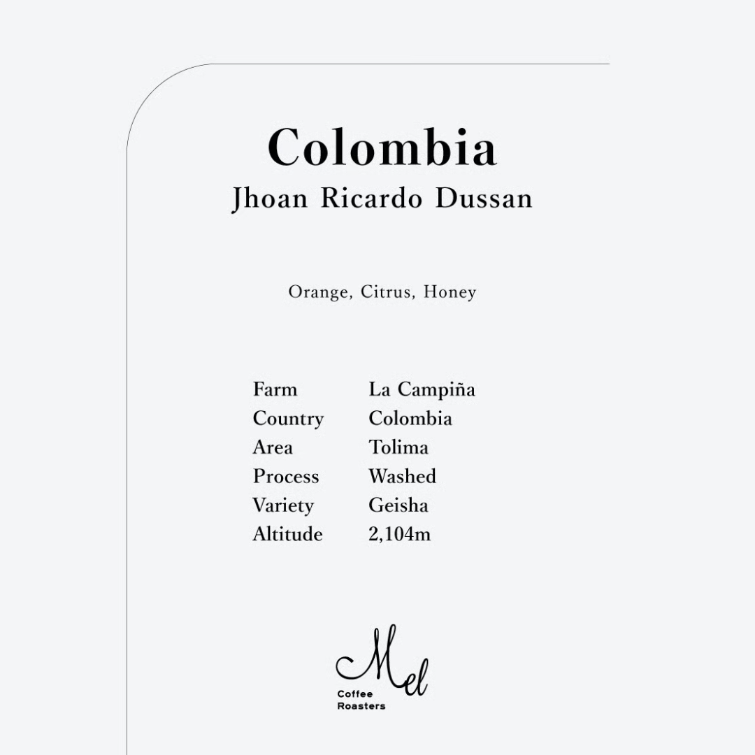 MEL - Jhoan Ricardo Dussan {Filter} | Colombia - Washed - Geisha
