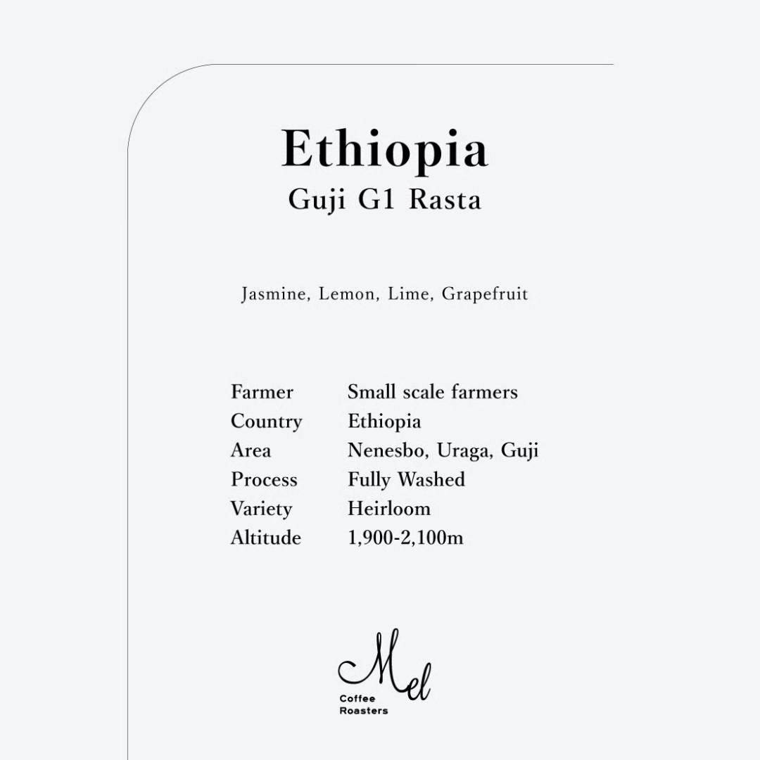 MEL - Guji G1 Rasta {Filter} | Ethiopia - Washed - Heirloom
