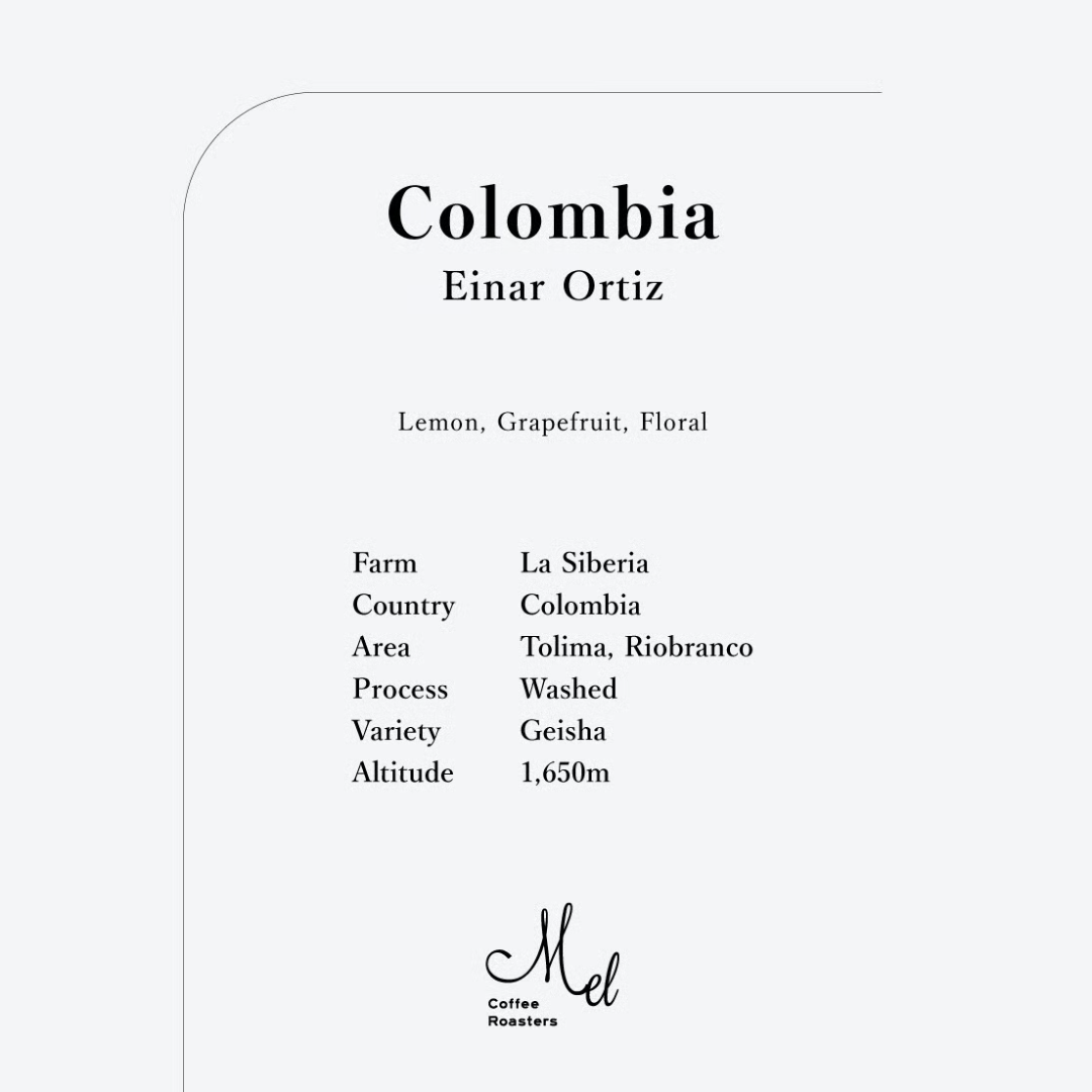 MEL - Einar Ortiz {Filter} | Colombia - Washed - Geisha