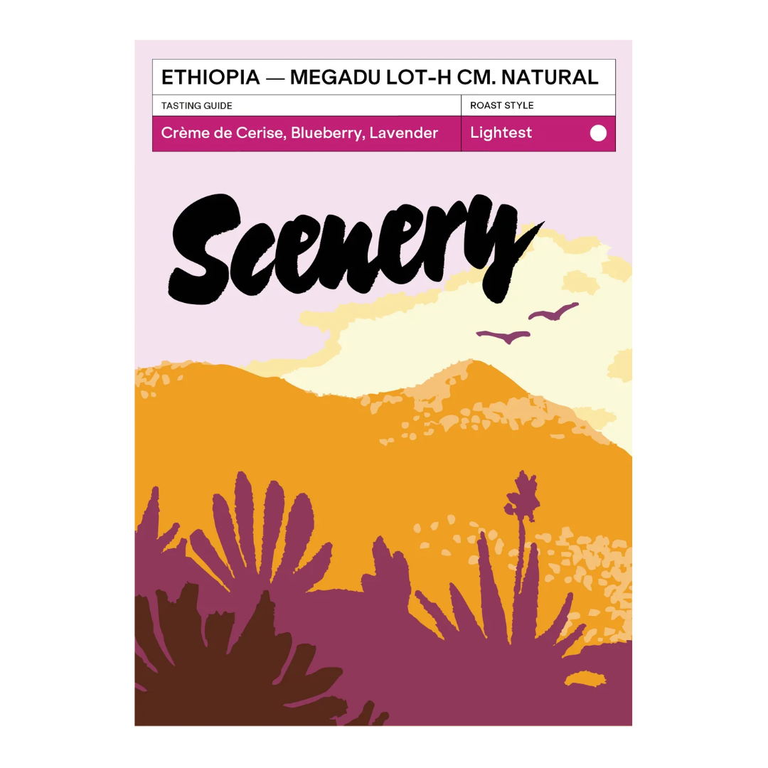 SCENERY - Megadu "Cherry Ascension" Lot-H CM Natural | Ethiopia - Carbonic Macerated Natural - Local Landrace, 74112, 74158