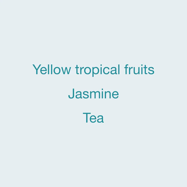 KOPPI - La Lia | Costa Rica - Red Honey - Geisha