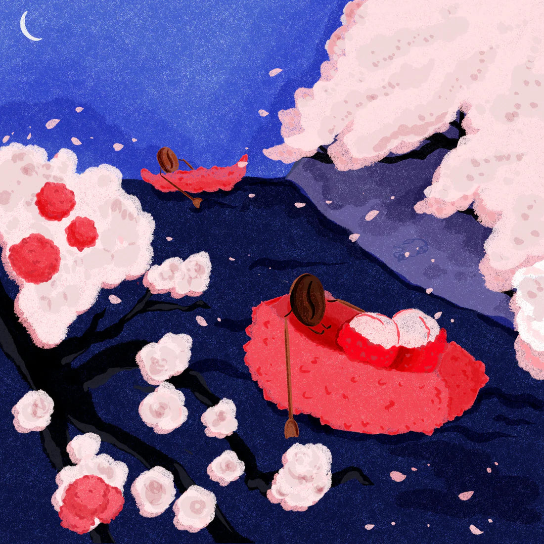 HYDRANGEA - Jairo Arcila Lychee | Colombia - Washed Co-ferment with Lychee - Castillo