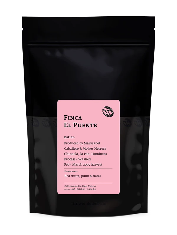 TIM WENDELBOE - Finca El Puente | Honduras - Washed - Batian
