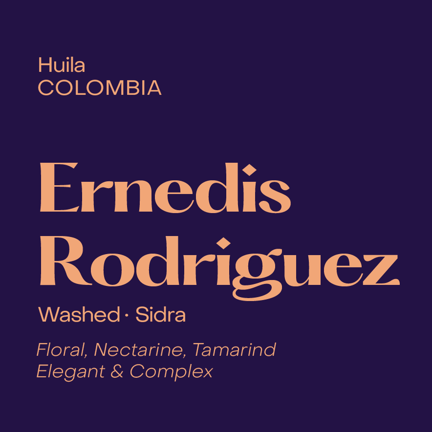 SUBTEXT - Ernedis Rodriguez | Colombia - Washed - Sidra