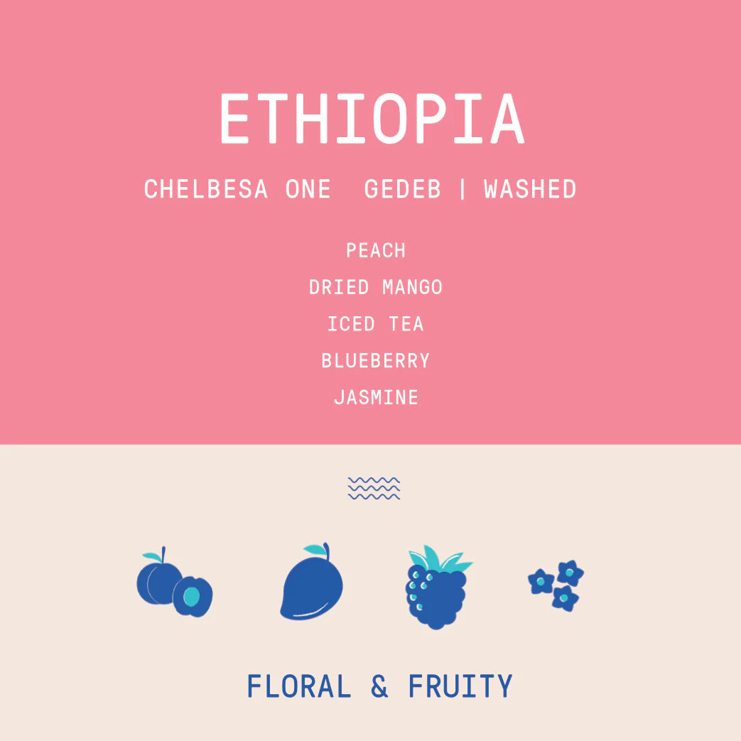 ROGUE WAVE - Chelbesa One Station | Ethiopia - Washed - Korume, Wilisho