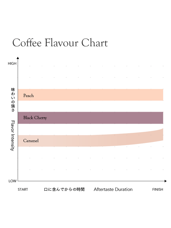 KURASU - Decaf - West Arsi | Ethiopia - Washed (Mountain Water Process) - Heirloom