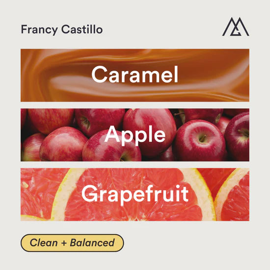 MONOGRAM - Fancy Castillo Espresso | Colombia - Washed - Caturra
