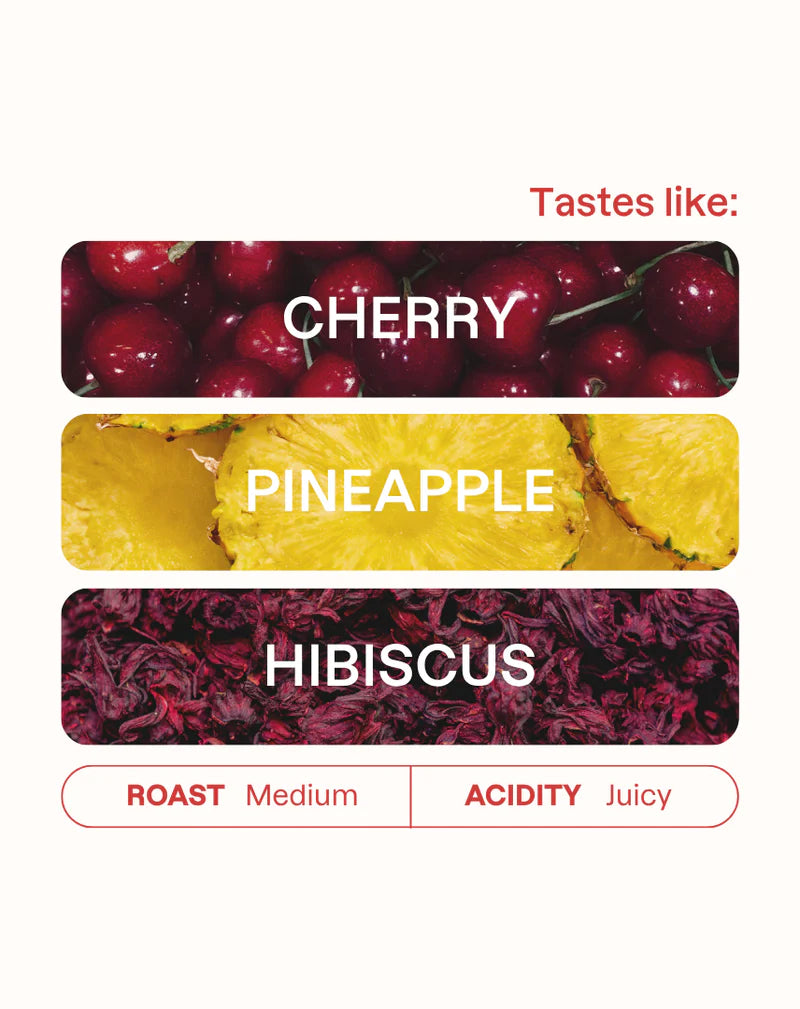 MONOGRAM - Gedeb Chelbesa Filter | Ethiopia - Black Honey - Indigenous Landrace