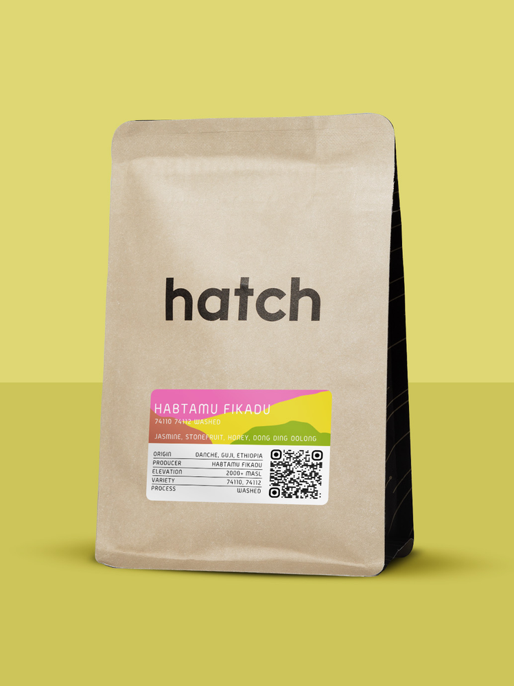 HATCH - Habtamu Fikadu | Ethiopia - Washed - 74110, 74112