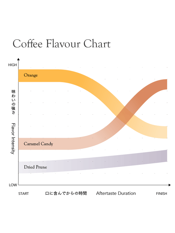 KURASU - House Blend Medium