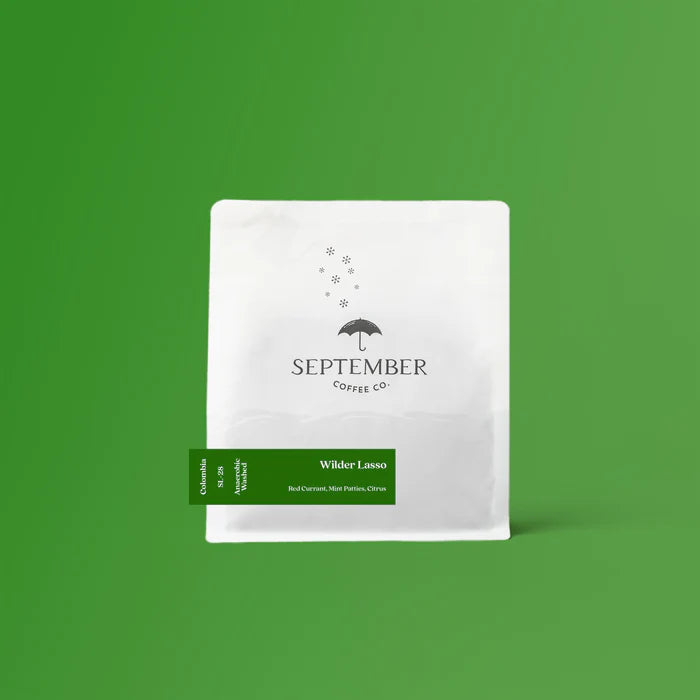 SEPTEMBER - Wilder Lasso | Colombia - Anaerobic Washed - SL28