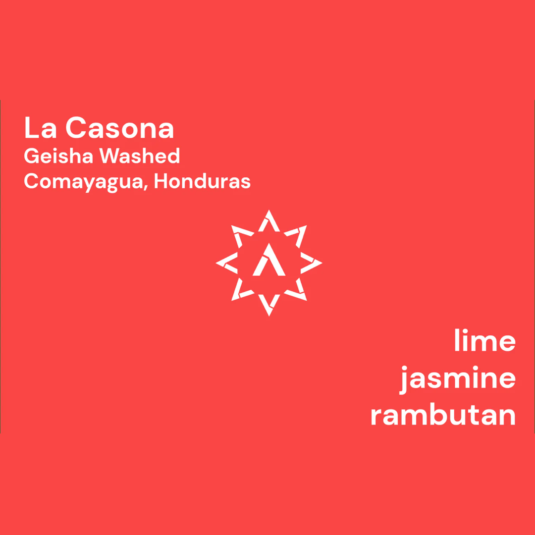 APOLLON'S GOLD - La Casona | Honduras - Washed - Geisha