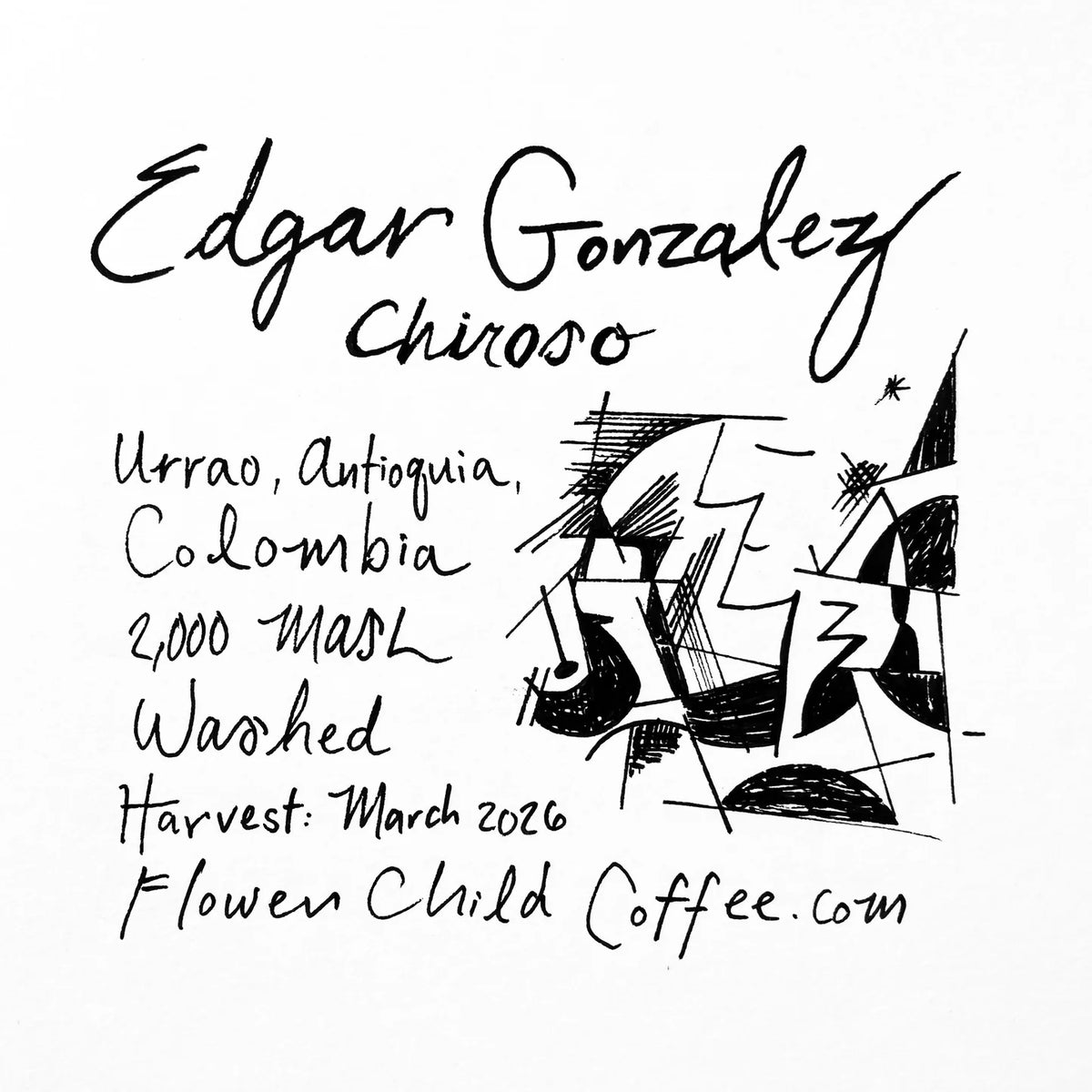 FLOWER CHILD - Edgar Gonzalez | Colombia - Washed - Chiroso