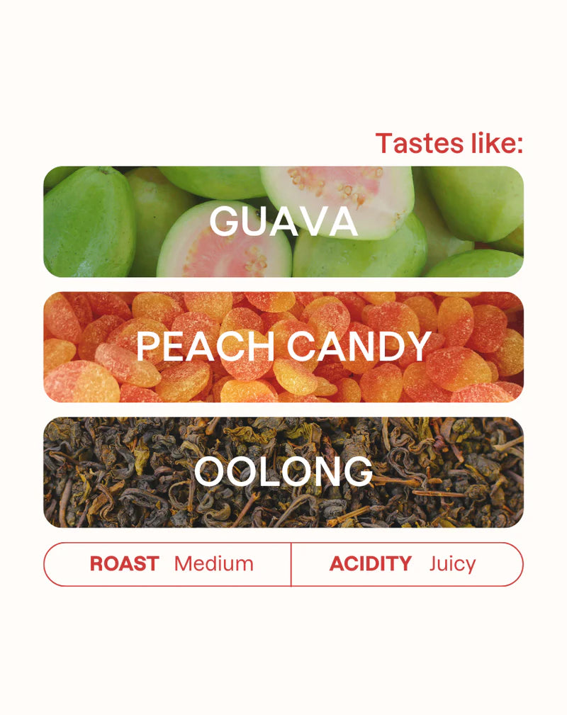 MONOGRAM - Jairo Arcila Filter | Colombia - Natural - Pink Bourbon