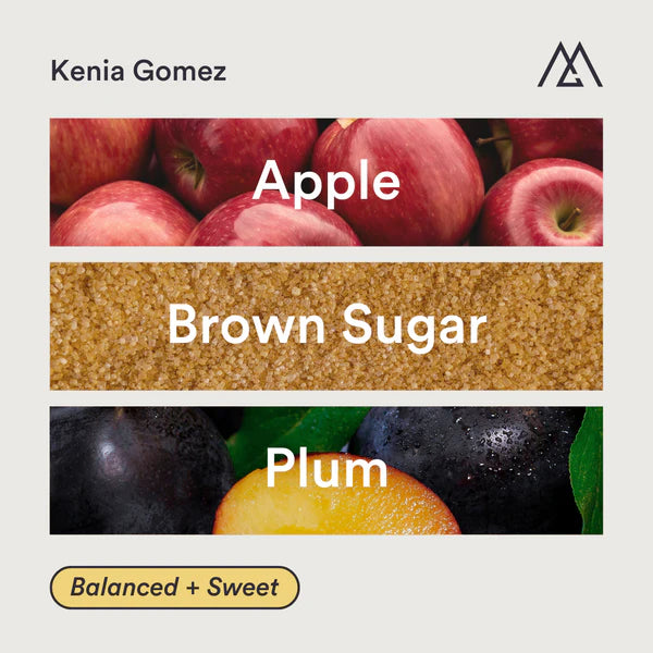 MONOGRAM - Kenia Gomez Filter | Honduras - Washed - Catuai
