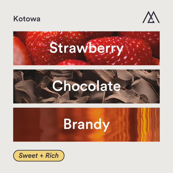 MONOGRAM - Kotowa Filter | Panama - Anaerobic Natural - Ethiopian Heirloom, Caturra