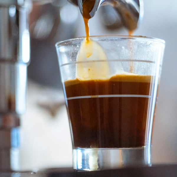 KURASU - House Blend Medium