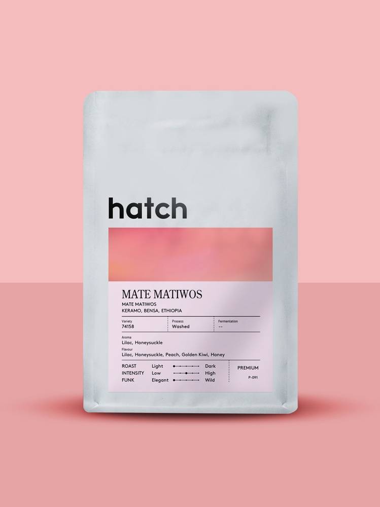HATCH - Mate Matiwos | Ethiopia - Washed - 74158