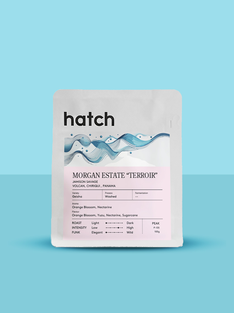 HATCH - Morgan Estate "TERROIR" | Panama - Washed - Geisha