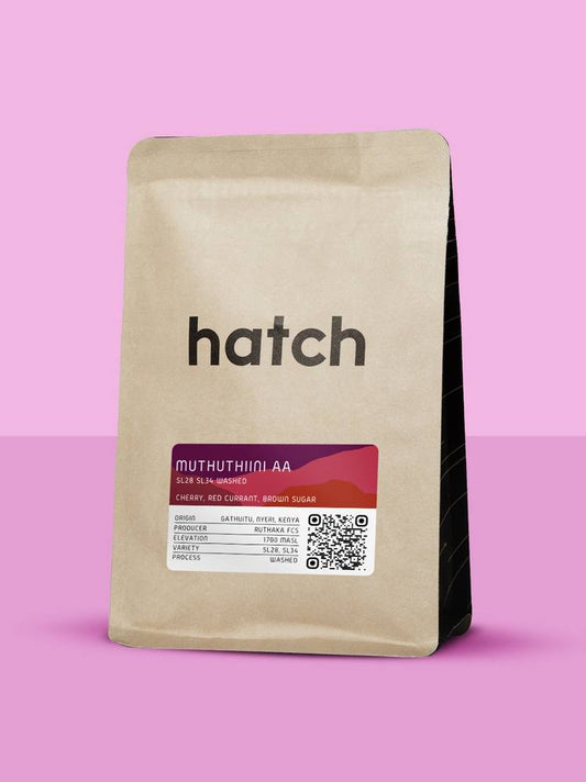 HATCH - Muthuthiini AA | Kenya - Washed - SL28, SL34