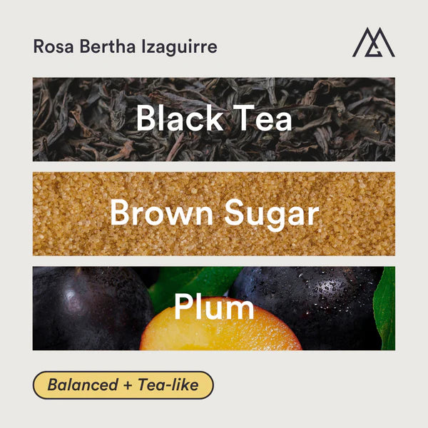 MONOGRAM - Rosa Bertha Izaguirre Filter | Honduras - Washed - Pacas, Catimor