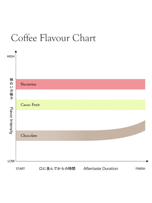 KURASU - Umurage | Rwanda - Natural - Red Bourbon