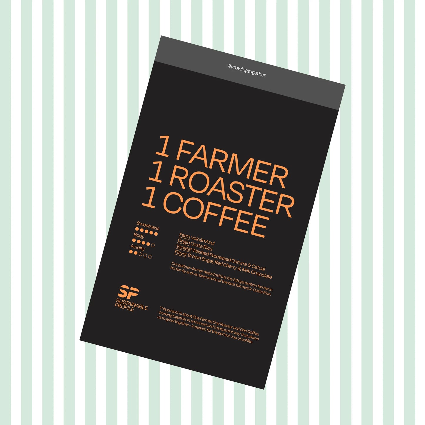 APRIL - Sustainable Profile Coffee - Costa Rica - Washed - Caturra & Catuai