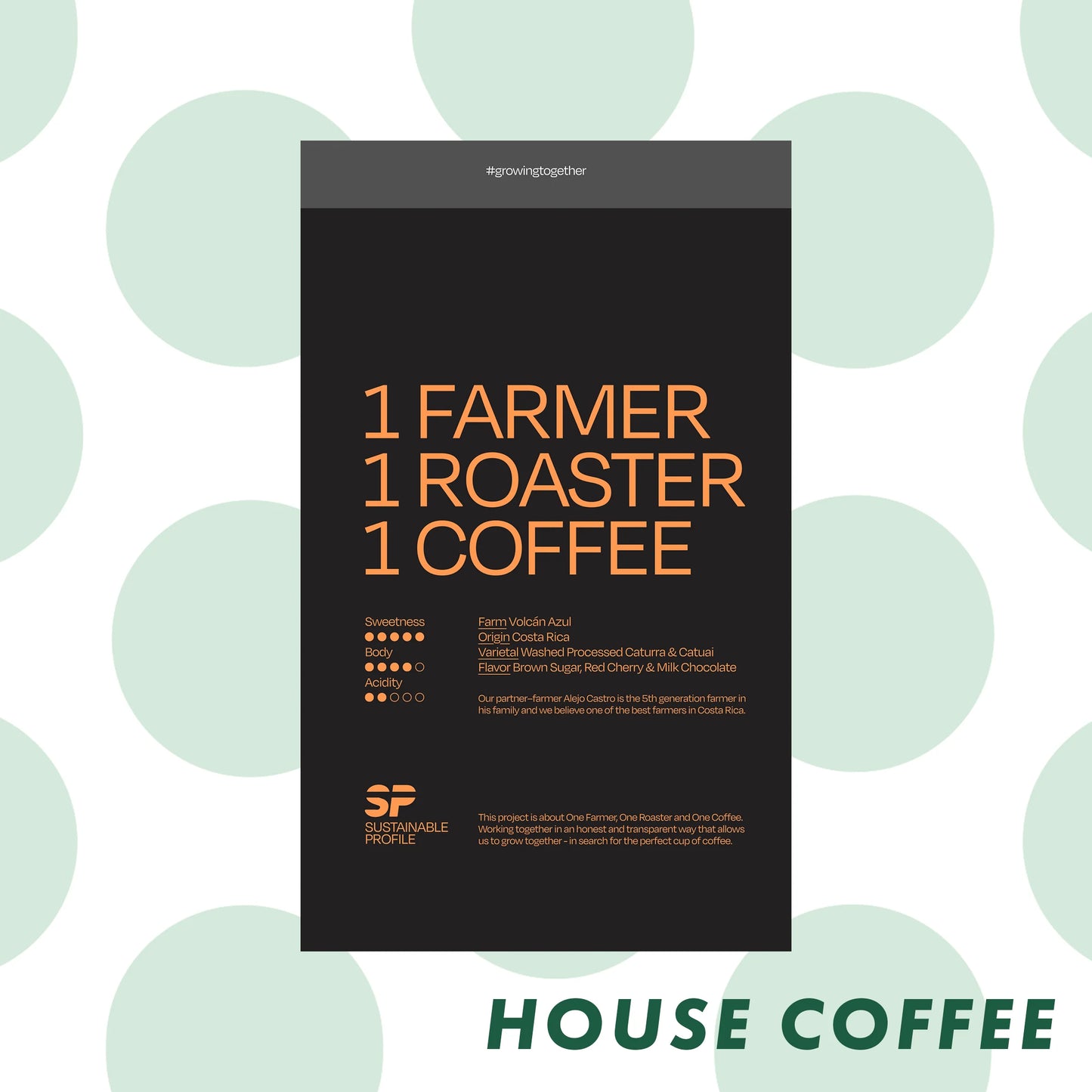 APRIL - Sustainable Profile Coffee - Costa Rica - Washed - Caturra & Catuai