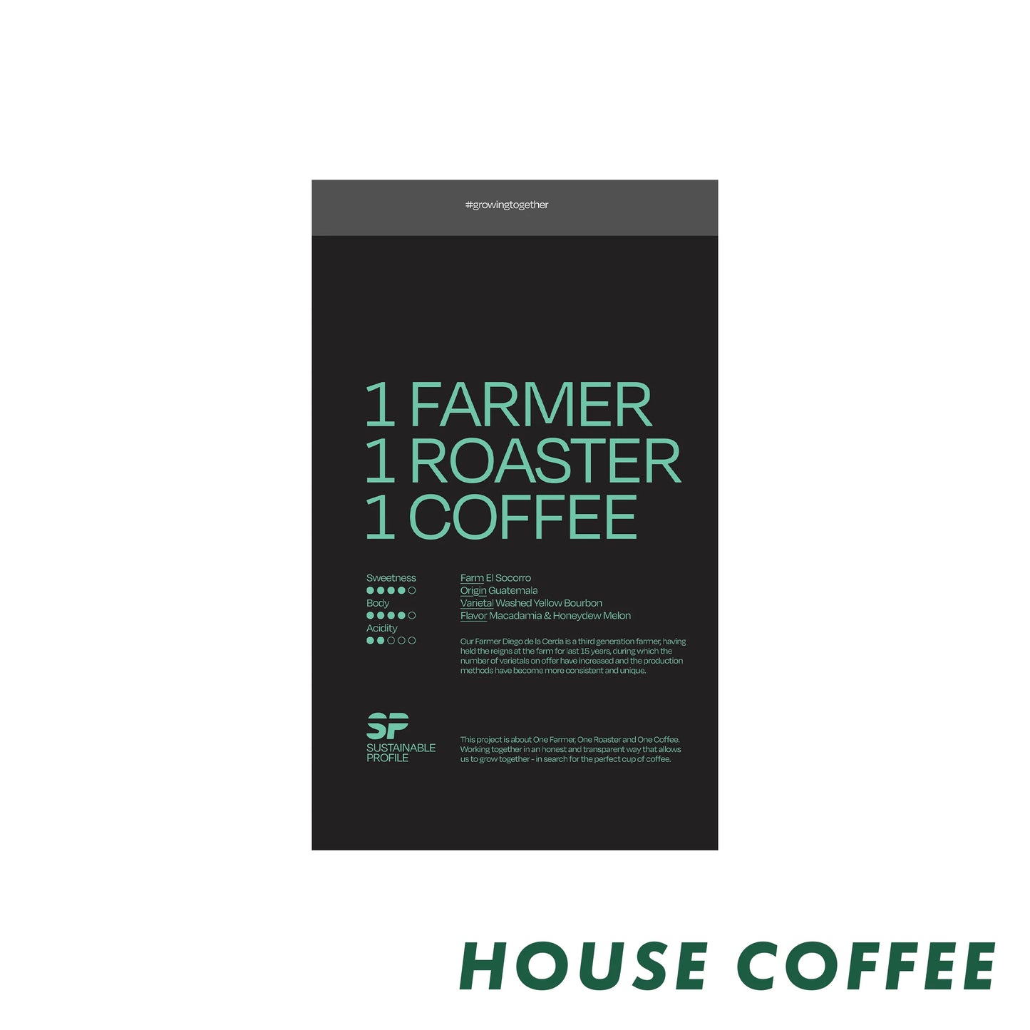 APRIL - Sustainable Profile Coffee | Guatemala - Washed - Yellow Bourbon