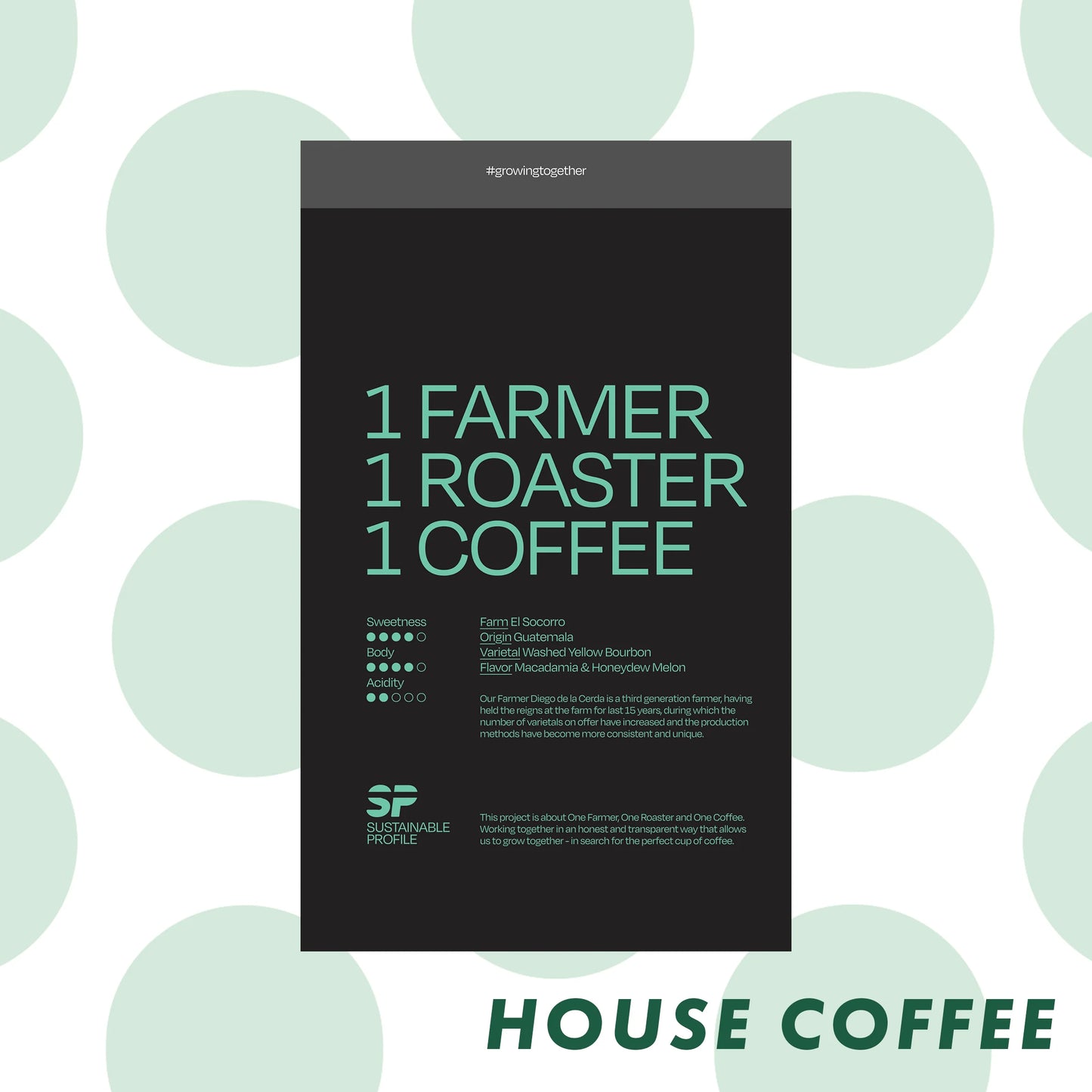 APRIL - Sustainable Profile Coffee - Guatemala - Washed - Yellow Bourbon