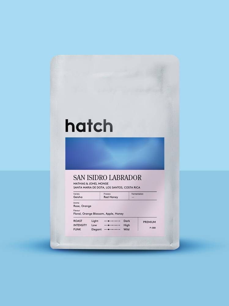 HATCH - San Isidro Labrador | Costa Rica - Red Honey - Geisha