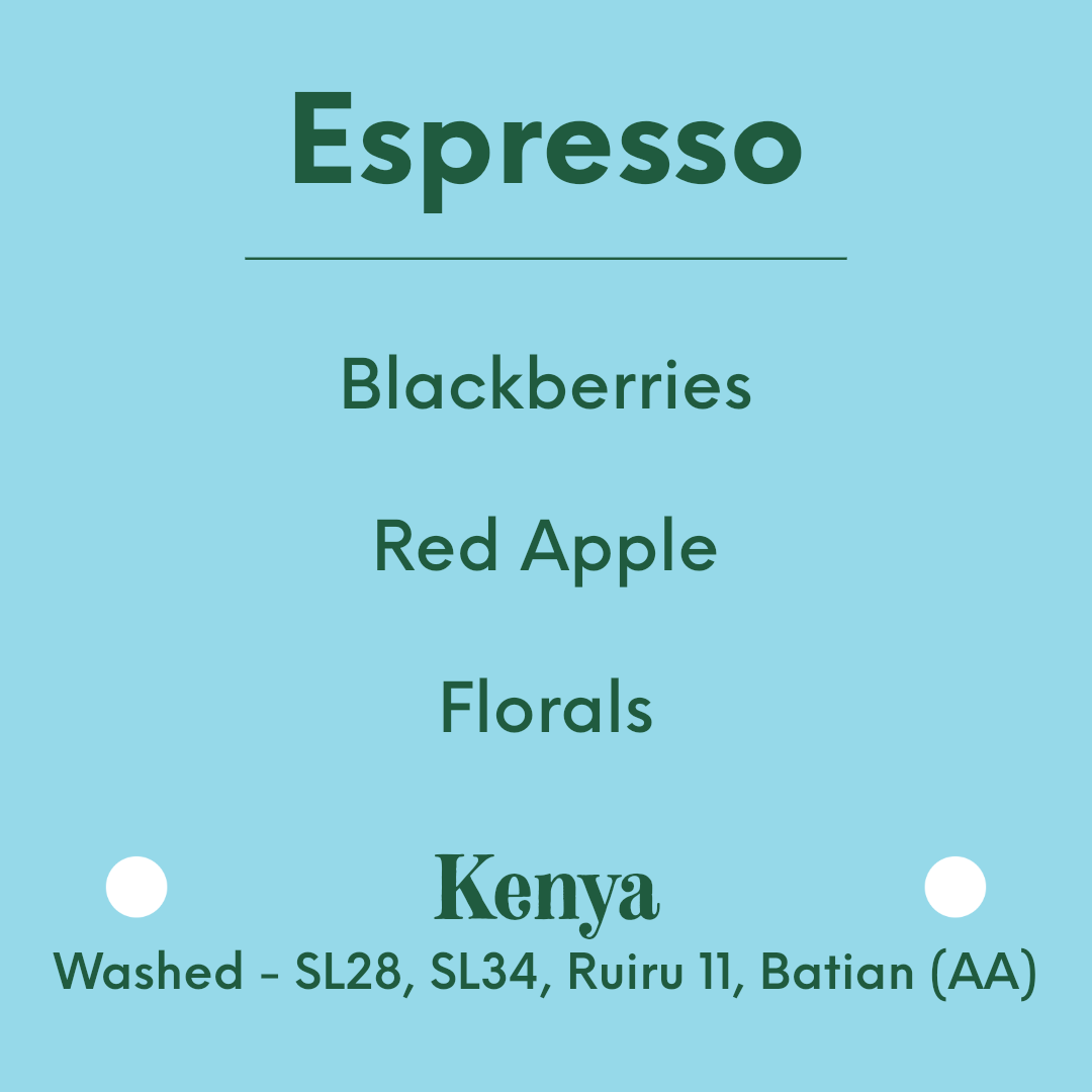 APRIL - Kamavindi Espresso - Kenya - Washed - SL28, SL34, Ruiru 11, Batian (AB)