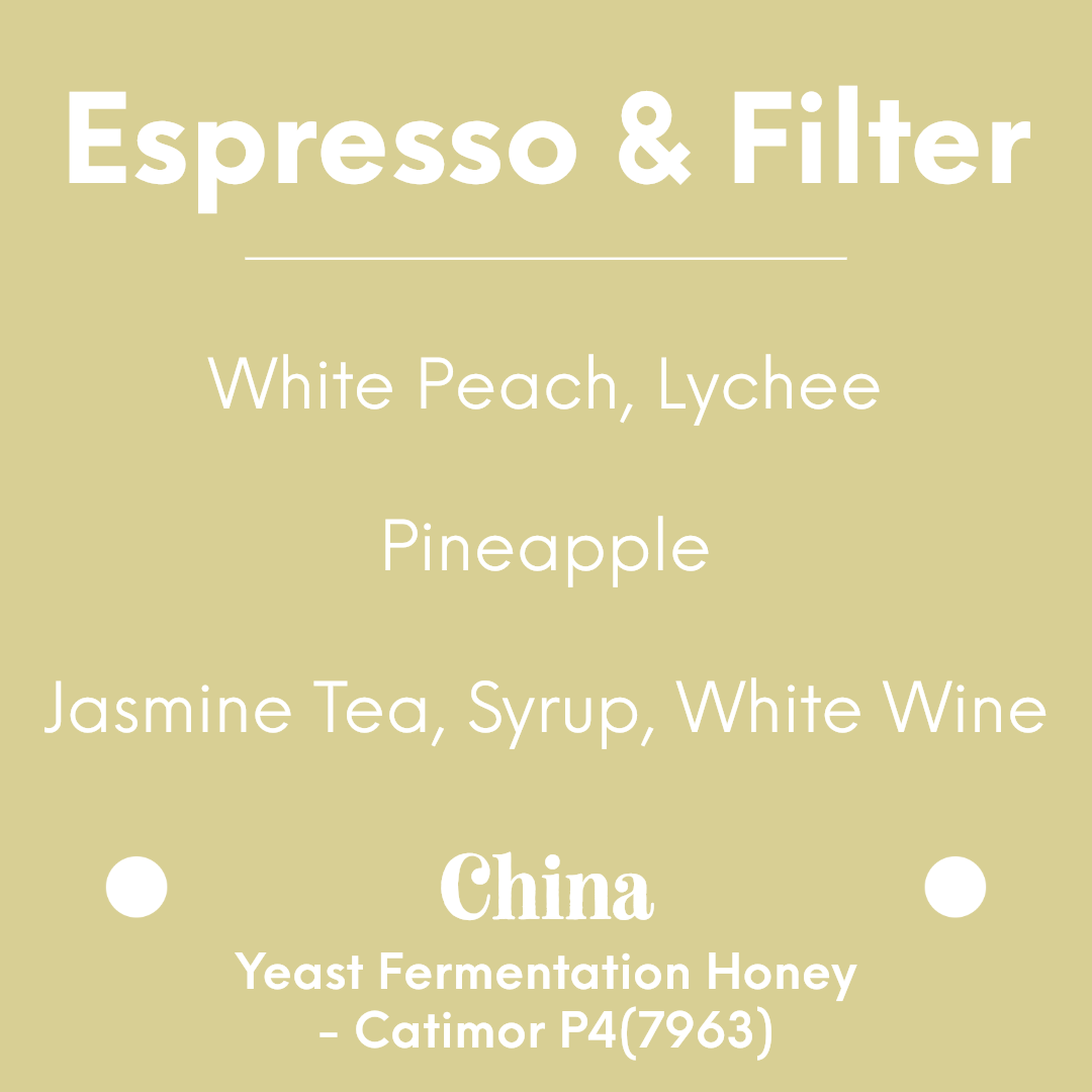 LILO - Yunnan Yuan Yi Yuan | China - Yeast Fermentation Honey - Catimor P4(7963)