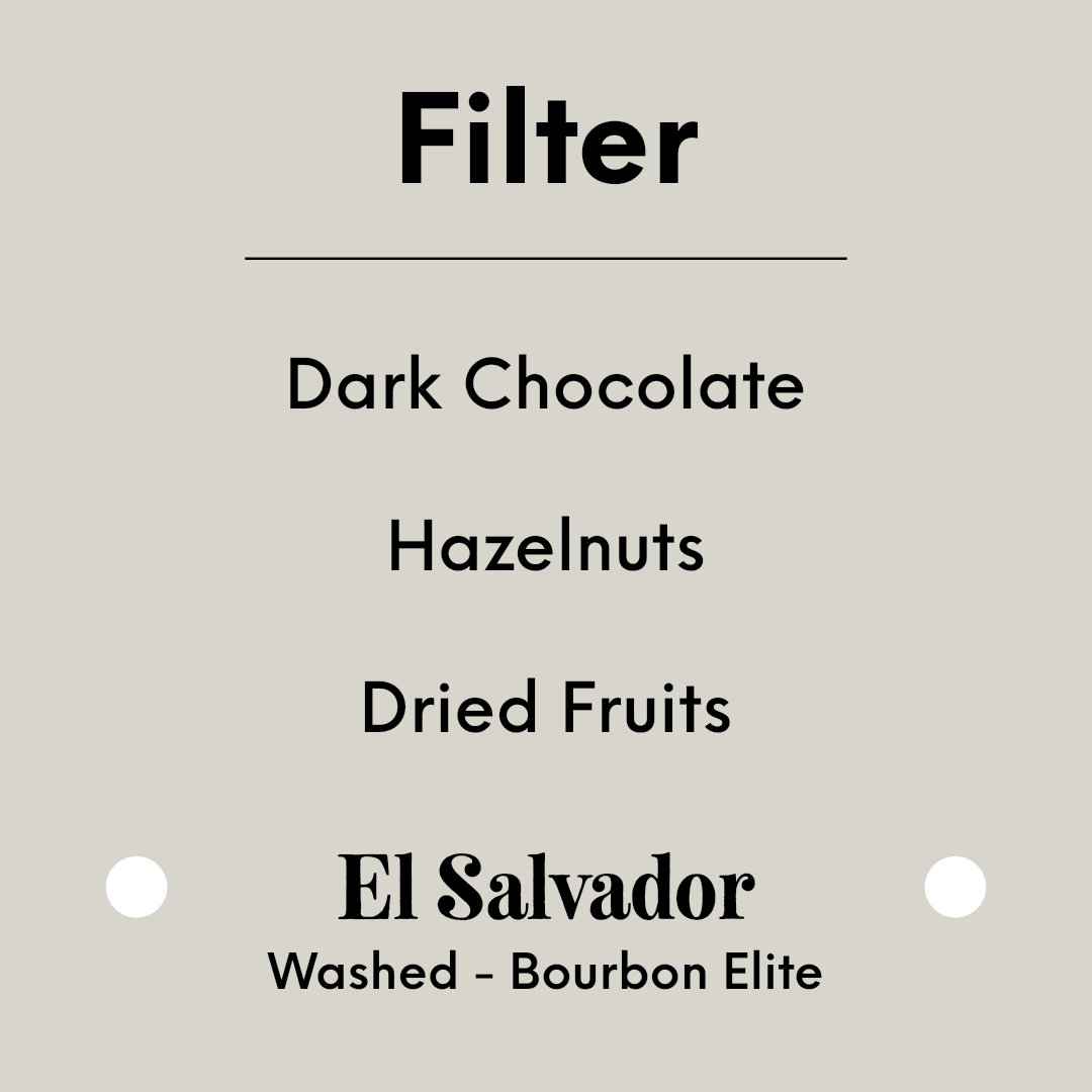 TIM WENDELBOE - Los Pirineos Bourbon | El Salvador - Washed - Bourbon Elite