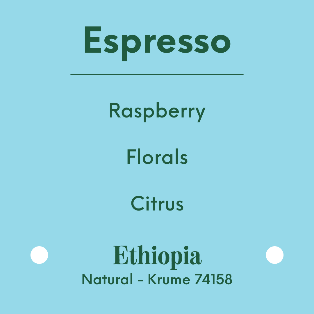 APRIL - Regessa Espresso - Ethiopia - Natural - Krume 74158