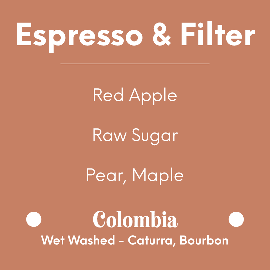 ONYX - Decaf - Colombia Inza San Antonio | Colombia - Washed - Caturra, Bourbon