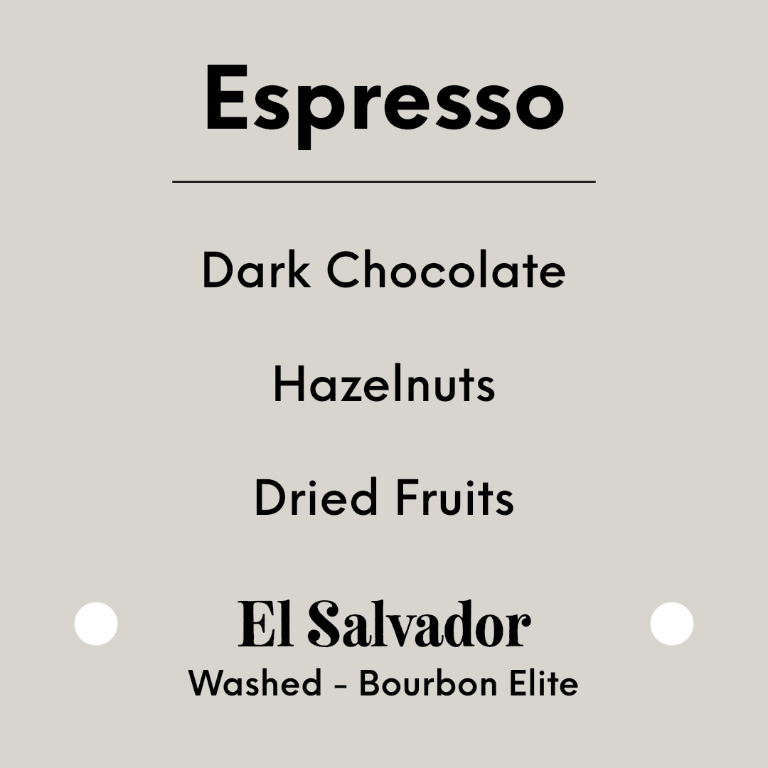 TIM WENDELBOE - Los Pirineos Bourbon Espresso | El Salvador - Washed - Bourbon Elite