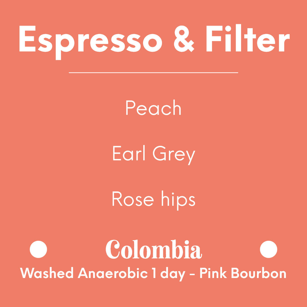 MAME - Pink Bourbon | Colombia - Washed Anaerobic 1 day - Pink Bourbon