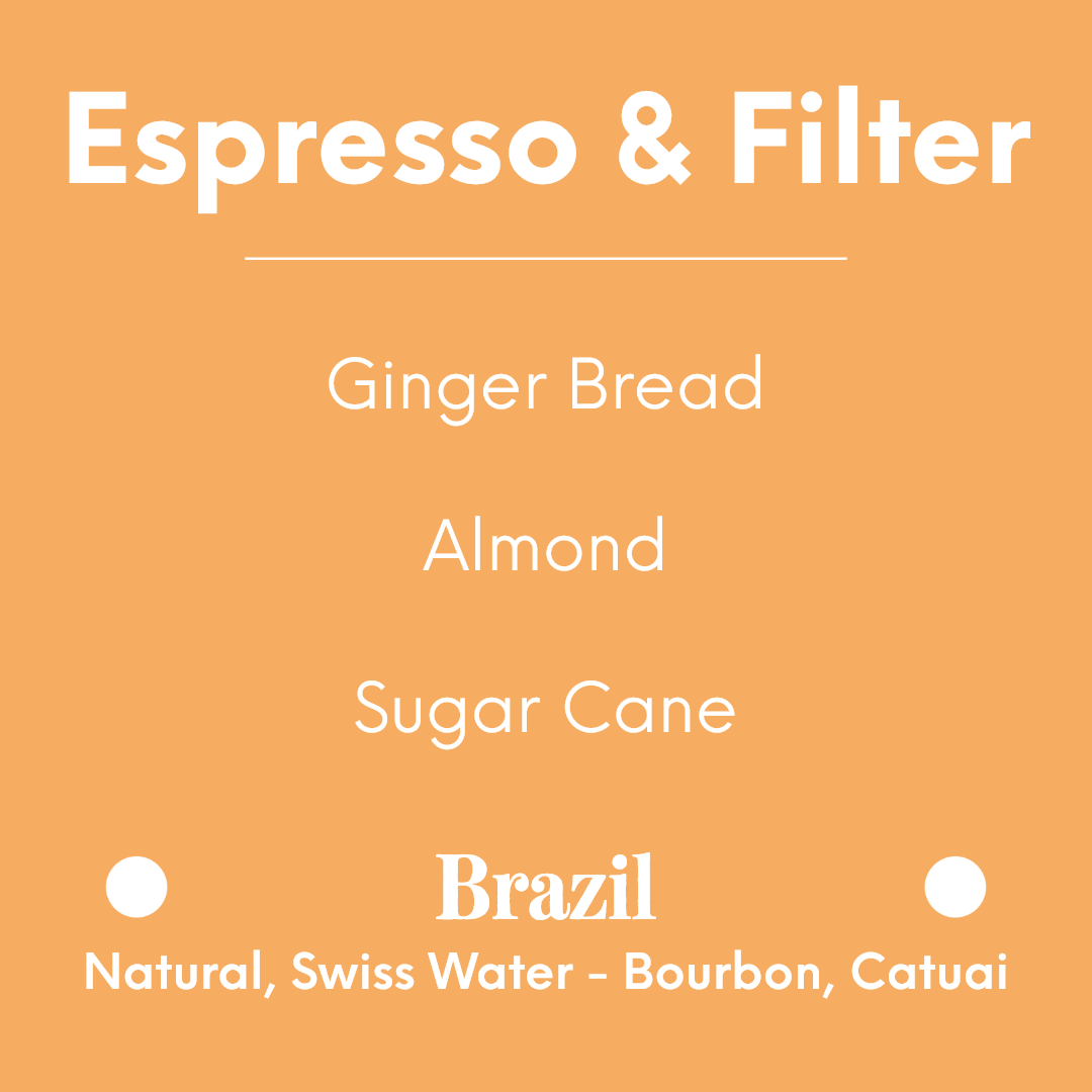 MAME - Decaf | Brazil - Decaf Process Swiss Water - Blend